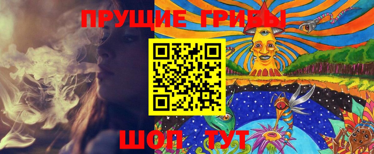 Элиста  Галлюциногенные грибы мицелий  Вход с VPN 