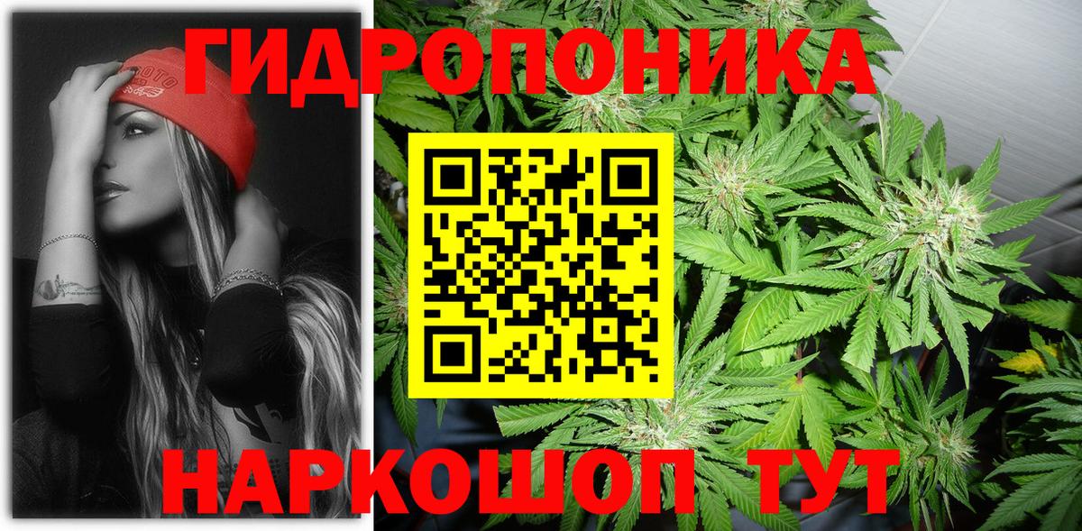 Элиста  Канабис планчик  Шишки марихуана сатива  Вход с VPN 